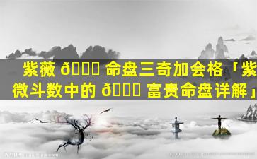 紫薇 🕊 命盘三奇加会格「紫微斗数中的 🐎 富贵命盘详解」